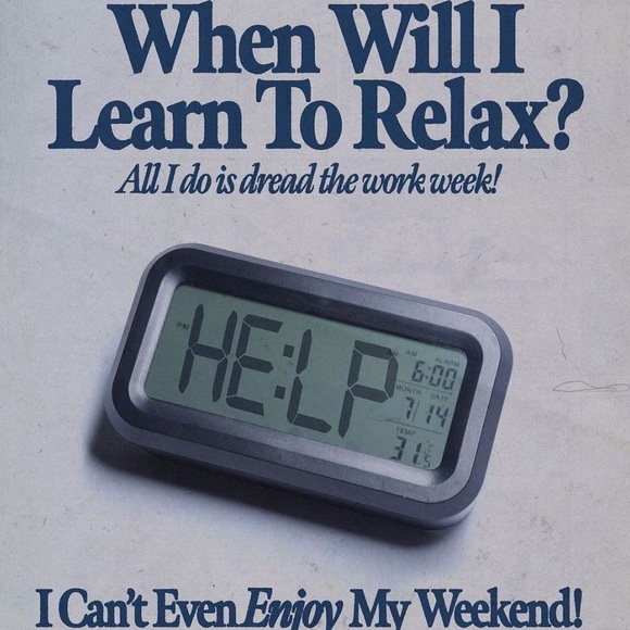 Meet your Posher, Liz - Picture 8 of 8